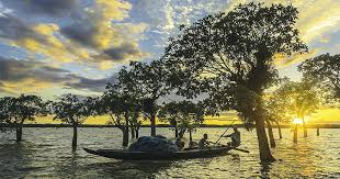 The largest wetland in Assam