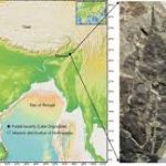 24 million year old fossil leaves unearthed in Assam reveal ancient climate shifts