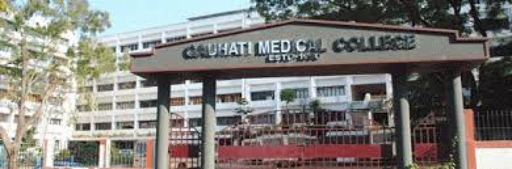 Government Medical Colleges in Assam