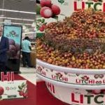 India Flags Off First Export of Rose-Scented Litchi from Pathankot to Qatar