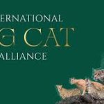 India Hosts First Assembly of the International Big Cat Alliance in New Delhi