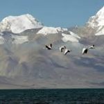 Kailash Mansarovar Yatra 2025