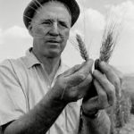 Norman E. Borlaug Award
