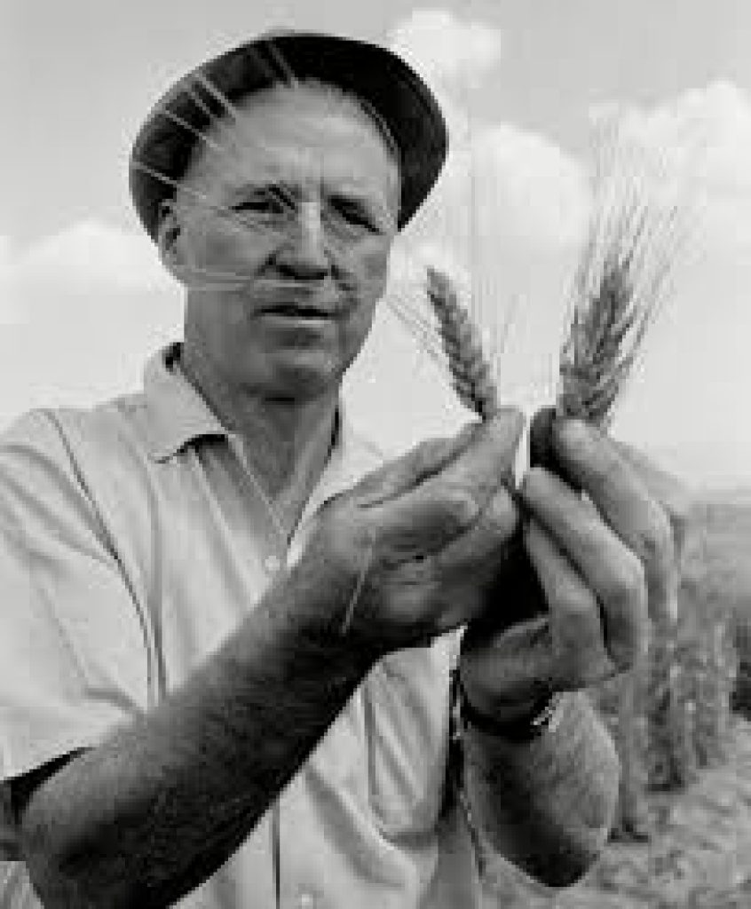 Norman E. Borlaug Award