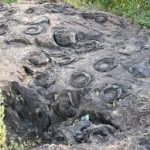 Salkhan Fossil Park Joins UNESCO Tentative List