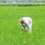 Tripura Launches Viksit Krishi Sankalp Abhiyan to Empower Farmers