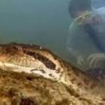 World’s Largest Snake Discovered in the Amazon