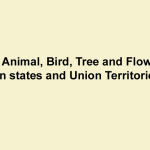 State Animal, Bird, Tree and Flower