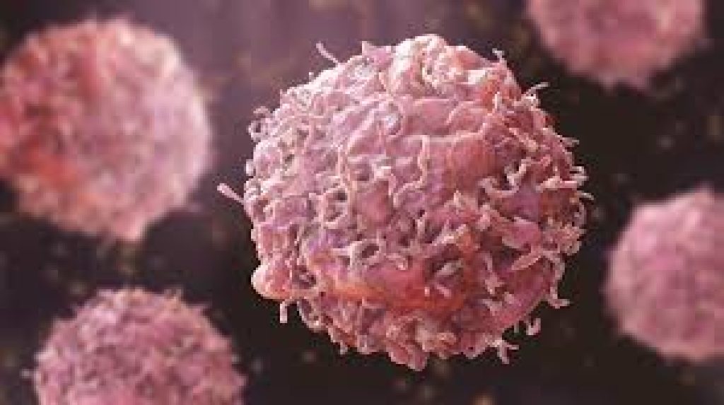 Cancer Incidence and Trends in India 2025 Report