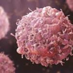 Cancer Incidence and Trends in India 2025 Report