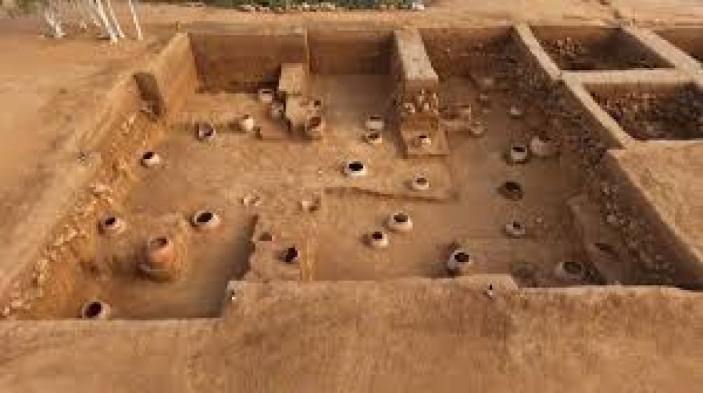 Preliminary Excavation Findings at Thirumalapuram Reveal Iron‑Age Culture Similar to Adichanallur