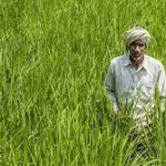 Prime Minister Dhan-Dhaanya Krishi Yojana