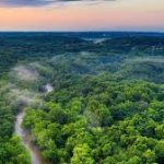 India Rises to 9th Globally in Forest Area, Retains 3rd Rank in Annual Forest Gain