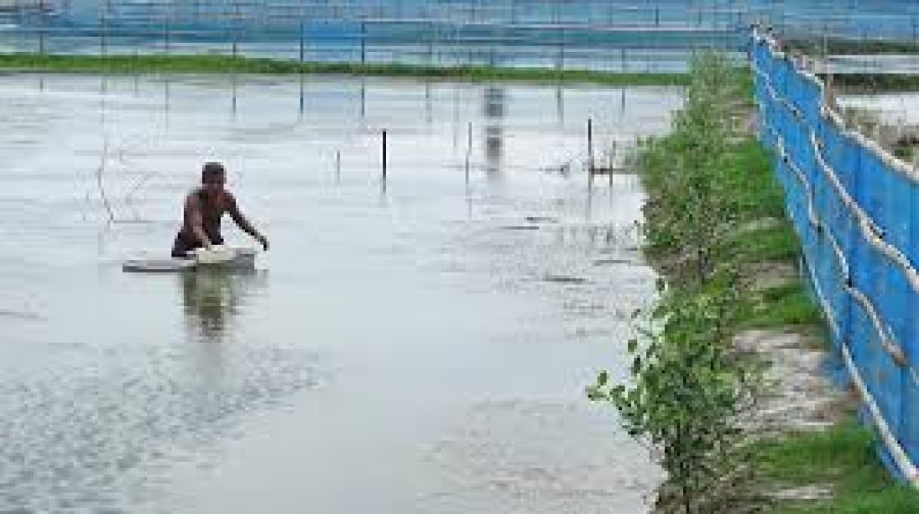 SAIME Aquaculture Model from Sundarbans Earns FAO Global Recognition
