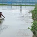 SAIME Aquaculture Model from Sundarbans Earns FAO Global Recognition