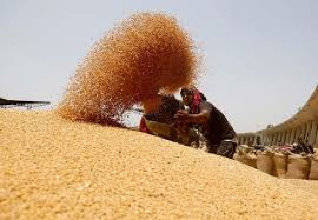India Achieves Record 357 Million Tonnes Foodgrain Production in 2025