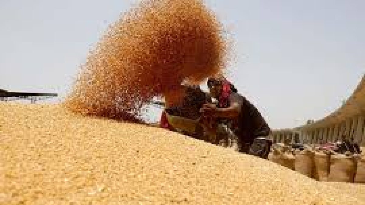 India Achieves Record 357 Million Tonnes Foodgrain Production in 2025