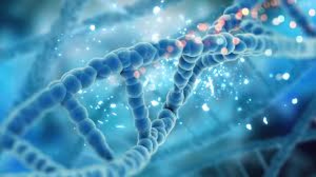 India Launches BIRSA 101