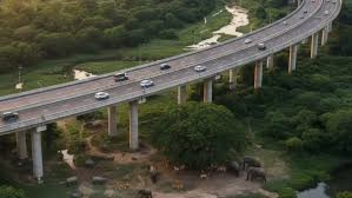 PM Modi Launches ₹6,957 Crore Kaziranga Elevated Corridor