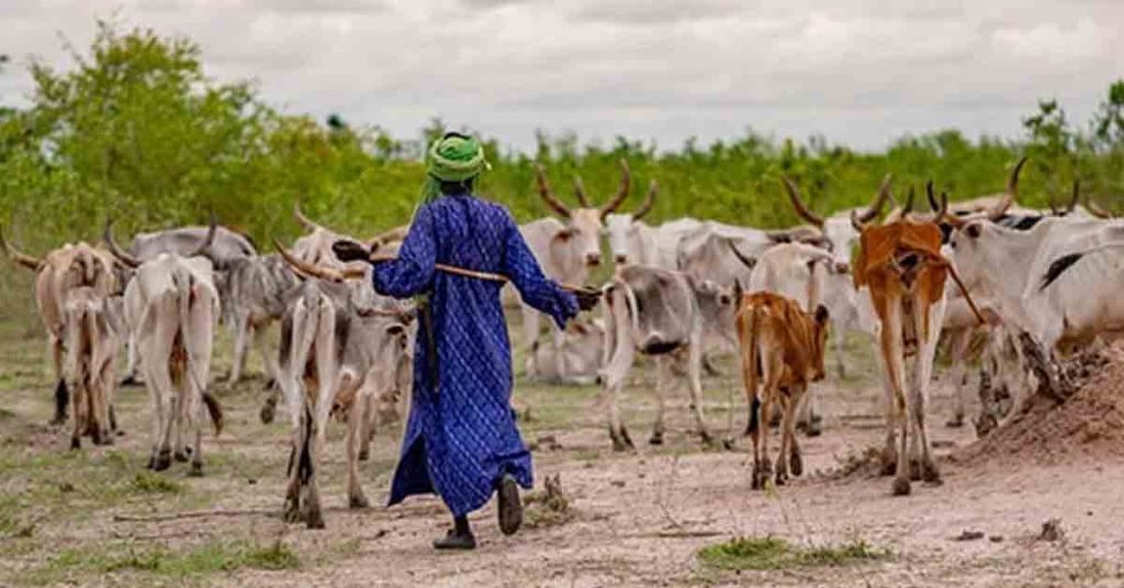 UN International Year of Rangelands and Pastoralists 