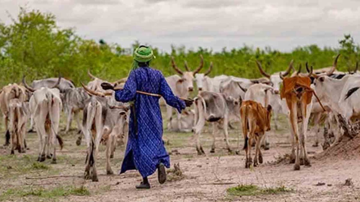 UN International Year of Rangelands and Pastoralists 