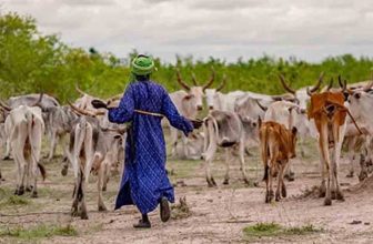 UN International Year of Rangelands and Pastoralists 
