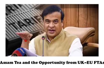 Assam Tea and the Opportunity from UK–EU FTAs