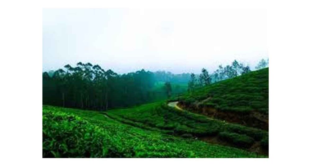 Assam in Export Preparedness Index (EPI) 2024