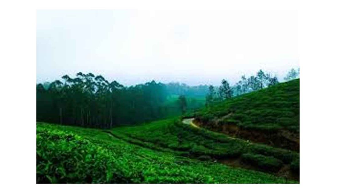 Assam in Export Preparedness Index (EPI) 2024