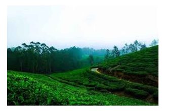 Assam in Export Preparedness Index (EPI) 2024