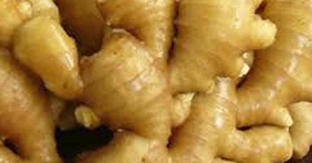 Karbi Anglong’s GI Ginger