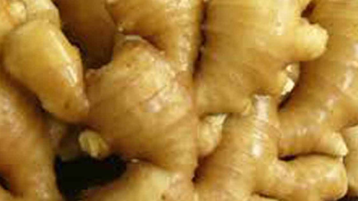 Karbi Anglong’s GI Ginger