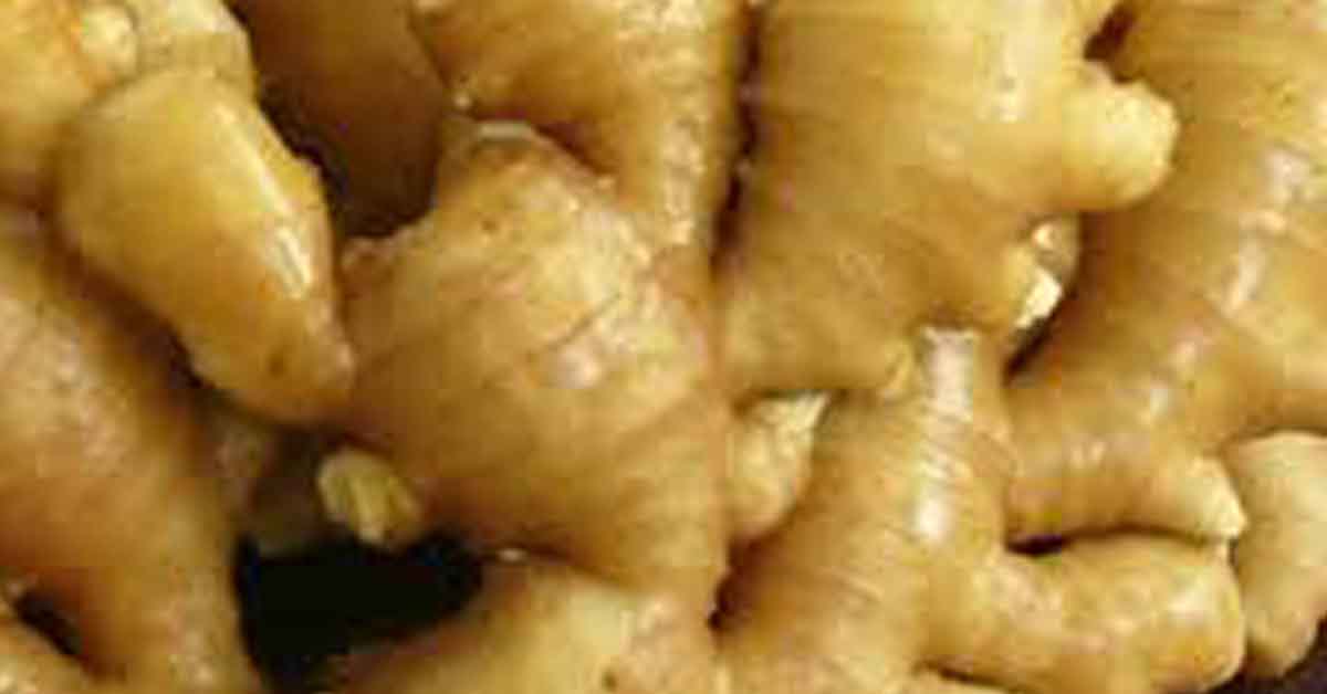 Karbi Anglong’s GI Ginger