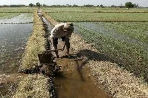 union cabinet has approved the pradhan mantri kisan samman siddhi scheme