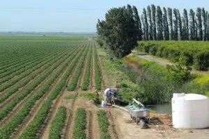 Govt signs MoU with IBM for weather forecast