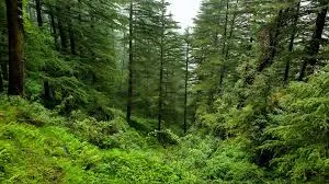 FAC has approved the Green Credit Scheme