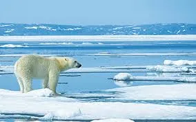 India and Sweden signed MoU on cooperation in Polar Science