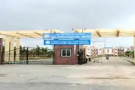 College of Agriculture, Hassan