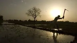 Centre decided to inject Rs.1 lakh crore into rural hands