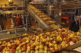 Govt launched PM FME scheme to help micro food processing enterprises
