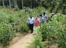 Urban forest created in Delhi at polluted ITO