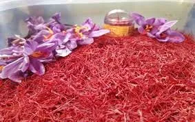 E-auction portal launched to promote trading of GI-tagged ‘Kashmir Saffron’