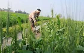 President promulgates 2 Ordinances to boost rural India and agriculture