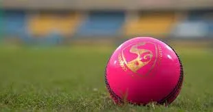 Pink cricket Ball