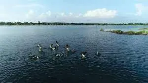 'Buldhana Pattern' for Water Conservation