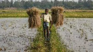 FCI needs to be saved to protect Farmers interests