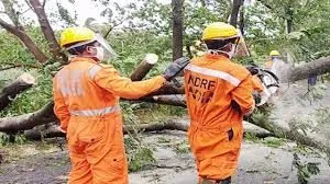 Creation of one post of Director in Senior Administrative Grade (SAG)