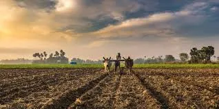 Government took Steps to ensure availability of fertilizers to farmers