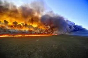 Association of cloud bursts with forest fires