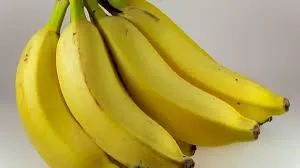 GI certified Jalgaon banana has been exported to Dubai